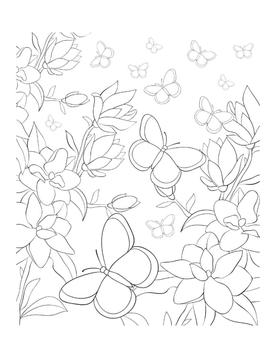 Butterfly Wild Flowers Butterflies Kids Coloring Pages Pdf Free Vectors